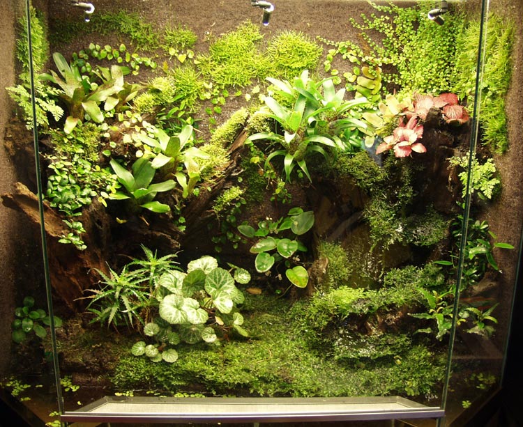 Paludarium