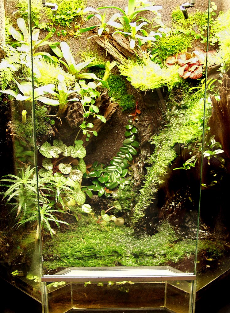 Paludarium