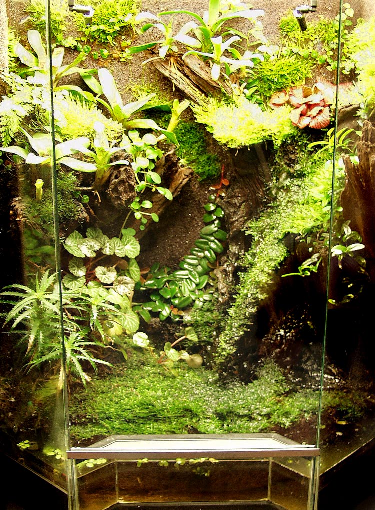 Paludarium