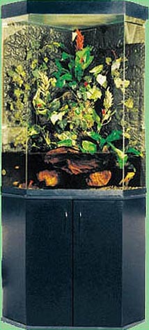 Paludarium